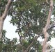 IMG_1320