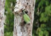 IMG_1233