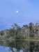 IMG_8221