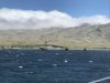 We did wait out a storm here.....blew 25-35G40 kts in the anchorage....1-3' waves