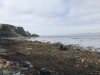 IMG_0372