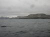 Going into Casco Cove