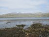 Lots of kelp forests!!