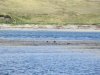 IMG_5364