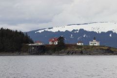Auke Bay to Glacier Bay with Bears Fighting