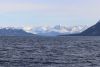 Views of Glacier Bay going north.......look at all that snow!!