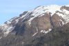 Can you see the mountain goats?