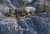 In all, we saw >20 mountain goats!!!