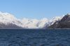 IMG_3290