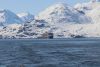 IMG_3550