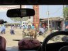 Everything from cars, tuk-tuks, buses, and horse drawn wagons!