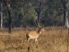 IMG_0368