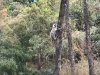 These are really lovely animals!