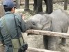 Ketar playing with the baby