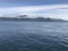IMG_0790