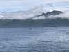 IMG_0794