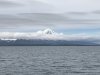 IMG_0800
