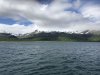 IMG_0807