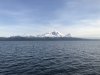 IMG_0814