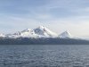 IMG_0815
