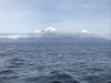 IMG_0821