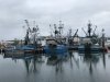 Many interesting fishing boats!!