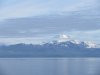 IMG_5706