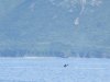IMG_5715