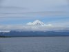 IMG_5720