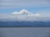 IMG_5721