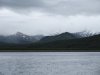 If you look closely, there is a Brown Bear there...one of our first sightings of these enormous bears!!
