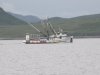 Many fishing boats are out!!
