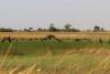 IMG_0303