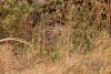 All better.....well hidden!!