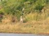IMG_6553
