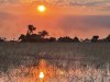 IMG_0893