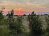 View of sunset from our tent!
