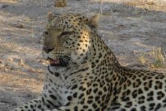 Botswana Okavango Delta Kings Pool Camp, part 3