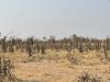IMG_0651