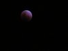 Blood Moon Eclipse