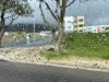 The weather had changed; a bit rainy today!!