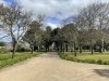 Boschendal winery for lunch