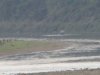 Our first Rhino citing in Chitwan....yep, rhino butt!!!