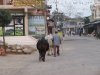 Walking home the water buffalo