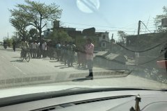 Chitwan National Park Nepal