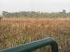 Early in the morning on our open air jeep safari