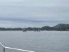 About 10 seiners fishing the mouth of Slocum Inlet as we left for Klag Bay