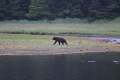 Circumnavigating Chichagof Island