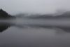 Lots of fog this summer!!