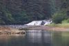 The next morning the water was too low for the salmon and no bears ...of course, that is when "AH" left!!